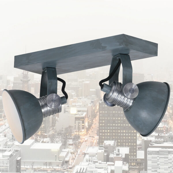 Steinhauer Brooklyn plafondlamp - 2 spots - draaibaar & kantelbaar - incl. led - verweerd grijs - Image 2