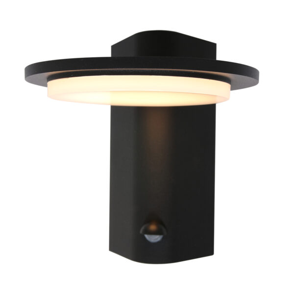Steinhauer Luzon Buitenlamp - wandlamp - ingebouwd LED - met dag en nacht sensor - zwart - Image 12