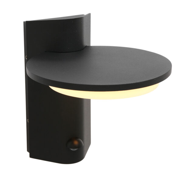 Steinhauer Luzon Buitenlamp - wandlamp - ingebouwd LED - met dag en nacht sensor - zwart - Image 13