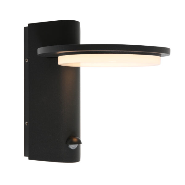Steinhauer Luzon Buitenlamp - wandlamp - ingebouwd LED - met dag en nacht sensor - zwart - Image 14