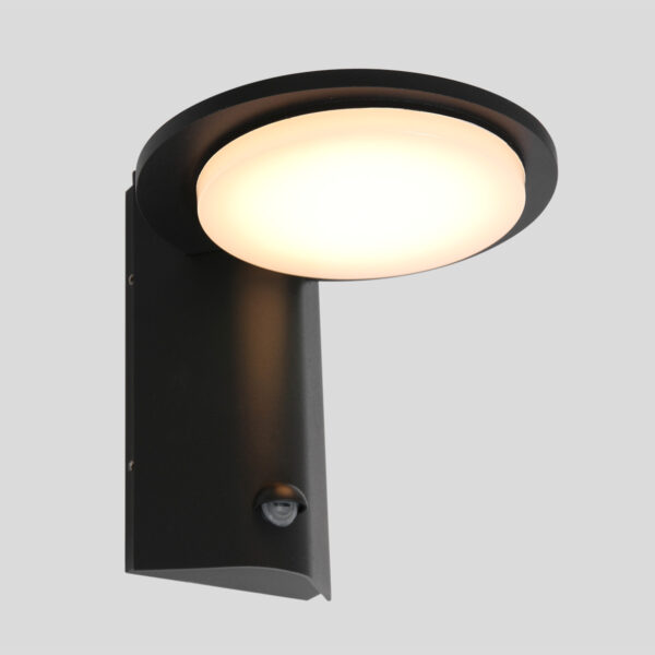 Steinhauer Luzon Buitenlamp - wandlamp - ingebouwd LED - met dag en nacht sensor - zwart - Image 16