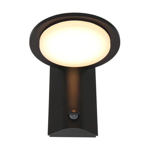 Steinhauer Luzon Buitenlamp - wandlamp - ingebouwd LED - met dag en nacht sensor - zwart - Image 10