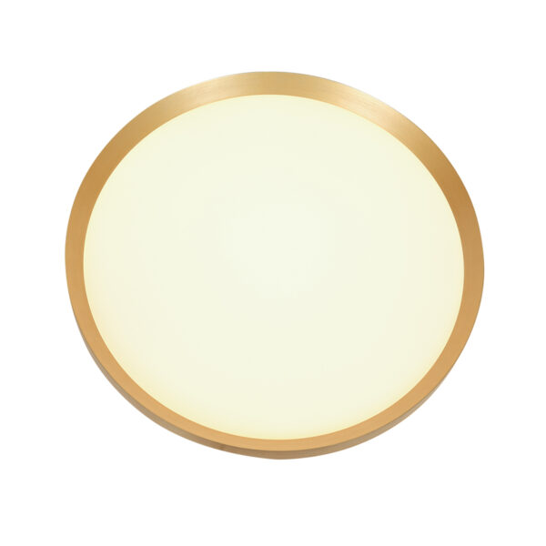 Steinhauer Flady plafonnieres – ø 40 cm – Ingebouwd (LED) – goud - Image 11