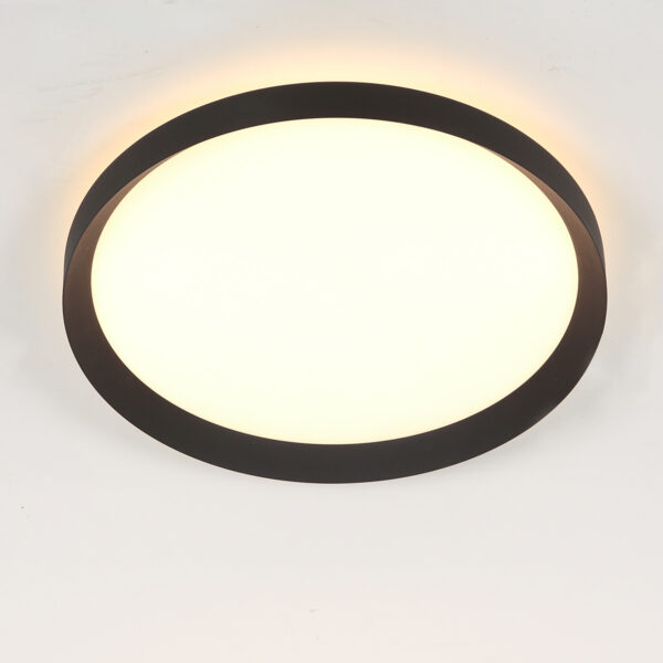 Steinhauer Flady plafonnieres – ø 40 cm – Ingebouwd (LED) – zwart - Image 14