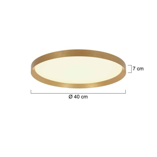 Steinhauer Flady plafonnieres – ø 40 cm – Ingebouwd (LED) – goud - Image 5