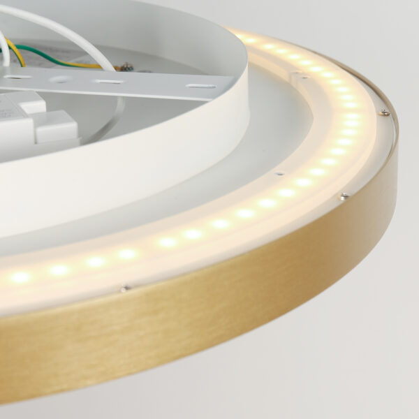 Steinhauer Flady plafonnieres – ø 50 cm – Ingebouwd (LED) – goud - Image 2