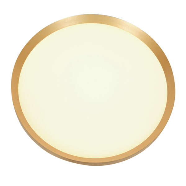 Steinhauer Flady plafonnieres – ø 50 cm – Ingebouwd (LED) – goud - Image 11