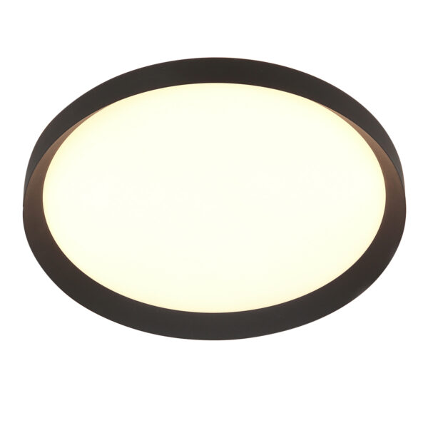 Steinhauer Flady plafonnieres – ø 50 cm – Ingebouwd (LED) – zwart - Image 8