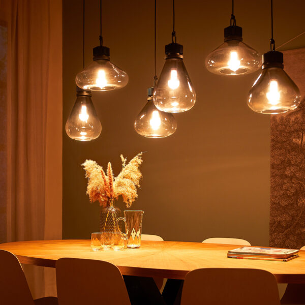 Steinhauer Flere hanglamp - zeslichts - E27 - in  hoogte verstelbaar - 140 cm breed - rookglas - Image 14