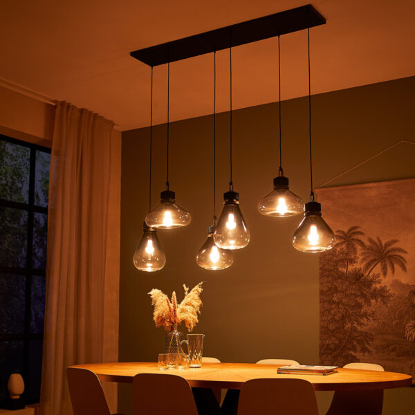 Steinhauer Flere hanglamp - zeslichts - E27 - in  hoogte verstelbaar - 140 cm breed - rookglas - Image 3