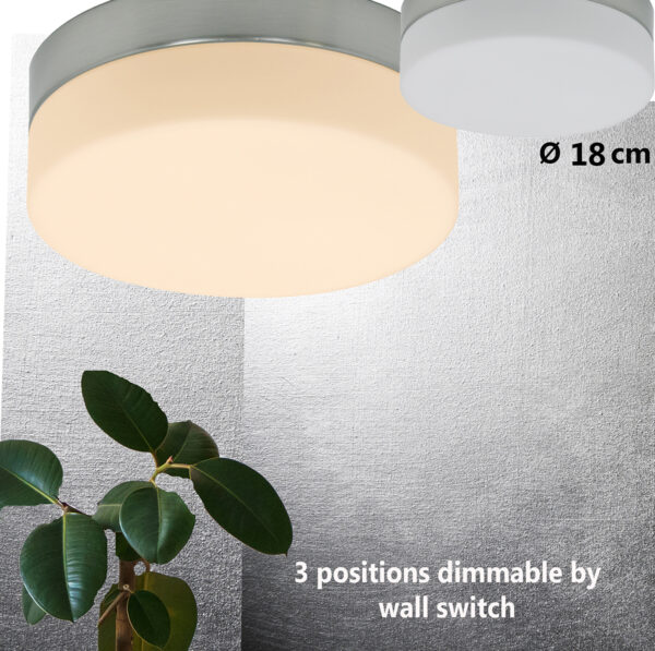 Steinhauer Ceiling and Wall plafonnière - badkamer - Ø 18cm - Incl. LED - 4 lichtstanden - staal en wit glas - Image 2