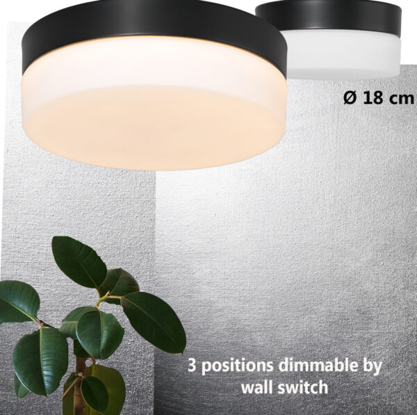 Steinhauer Ikaro plafonnieres – ø 18 cm – Ingebouwd (LED) – wit en zwart - Image 2