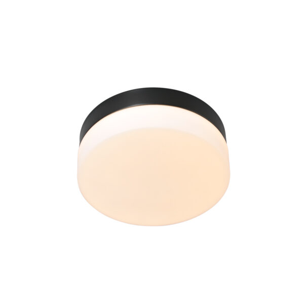 Steinhauer Ikaro plafonnieres – ø 18 cm – Ingebouwd (LED) – wit en zwart - Image 3