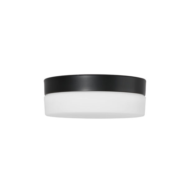 Steinhauer Ikaro plafonnieres – ø 18 cm – Ingebouwd (LED) – wit en zwart - Image 5