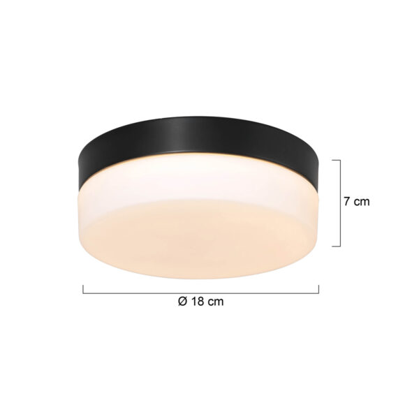 Steinhauer Ikaro plafonnieres – ø 18 cm – Ingebouwd (LED) – wit en zwart - Image 6