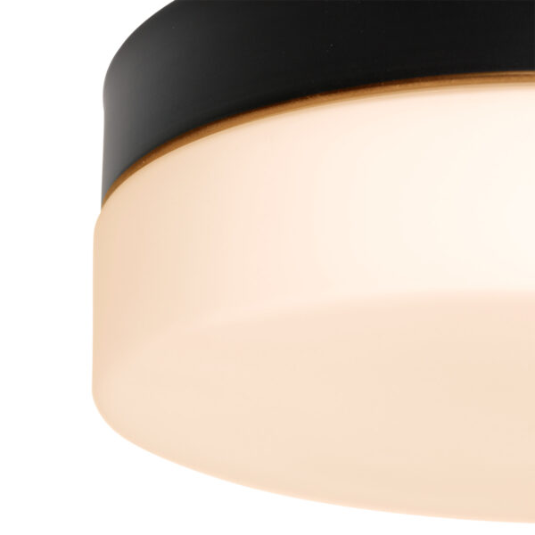 Steinhauer Ikaro plafonnieres – ø 18 cm – Ingebouwd (LED) – wit en zwart - Image 9