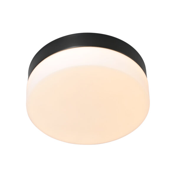 Steinhauer Ikaro plafonnieres – ø 24 cm – Ingebouwd (LED) – wit en zwart - Image 3