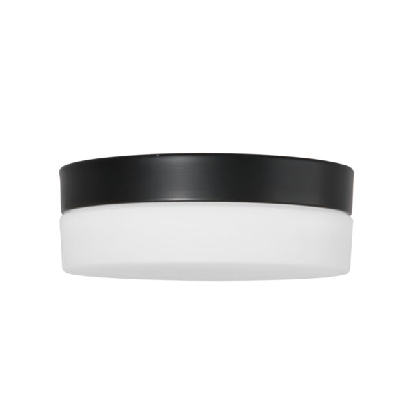 Steinhauer Ikaro plafonnieres – ø 24 cm – Ingebouwd (LED) – wit en zwart - Image 5