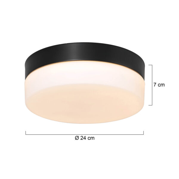 Steinhauer Ikaro plafonnieres – ø 24 cm – Ingebouwd (LED) – wit en zwart - Image 6