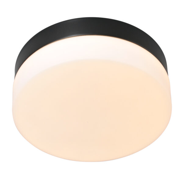 Steinhauer Ikaro plafonnieres – ø 30 cm – Ingebouwd (LED) – wit en zwart - Image 3