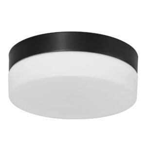 Steinhauer Ikaro plafonniere – ø 30 cm – Ingebouwd (LED) – Zwart