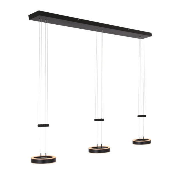 Steinhauer Piola hanglamp – In hoogte verstelbaar – Ingebouwd (LED) – transparant en zwart - Image 9