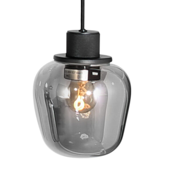 Steinhauer Reflexion hanglamp – In hoogte verstelbaar – E27 + GU10 – smokeglas en zwart - Image 10