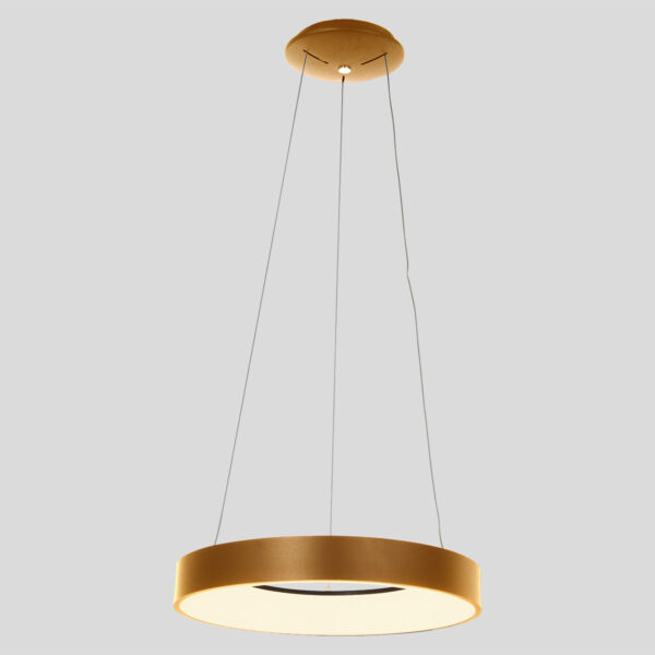 Steinhauer Ringlede hanglamp - ring - ingebouwd LED - ⌀48 cm - goud - Image 8