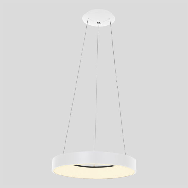 Steinhauer Ringlede hanglamp - ring - ingebouwd LED - ⌀48 cm - wit - Image 10