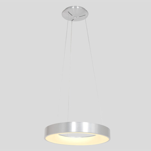 Steinhauer Ringlede hanglamp - ring - ingebouwd LED - ⌀48 cm - zilver - Image 16
