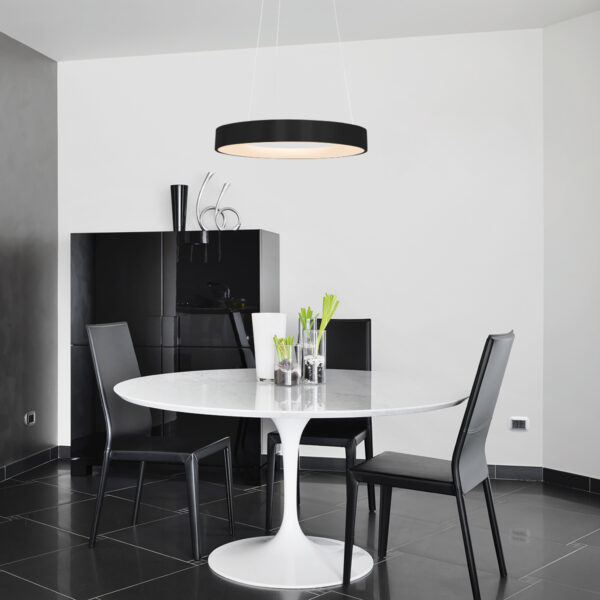 Steinhauer Ringlede hanglamp - ring - ingebouwd LED - ⌀48 cm - zwart - Image 16