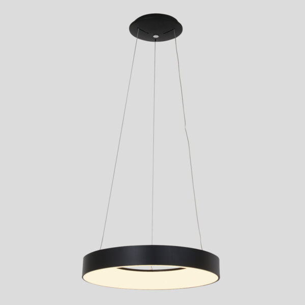 Steinhauer Ringlede hanglamp - ring - ingebouwd LED - ⌀48 cm - zwart - Image 17