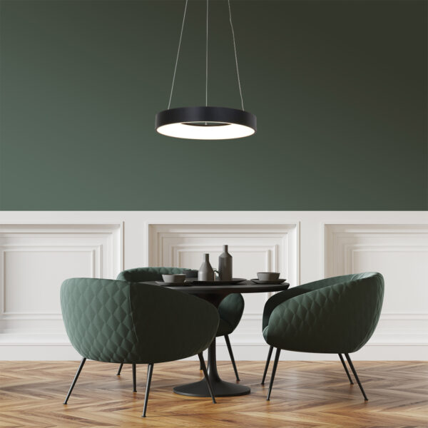 Steinhauer Ringlede hanglamp - ring - ingebouwd LED - ⌀48 cm - zwart - Image 3