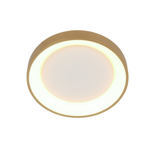 Steinhauer Ringlede plafonnieres –– goud en wit - Image 7