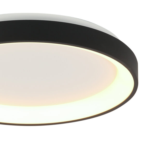 Steinhauer Ringlede plafonnieres –– wit en zwart - Image 3