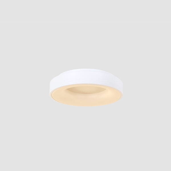 Steinhauer Ringlede plafondlamp - rond - ingebouwd LED - Ø 30 cm - 2700K - wit - Image 13