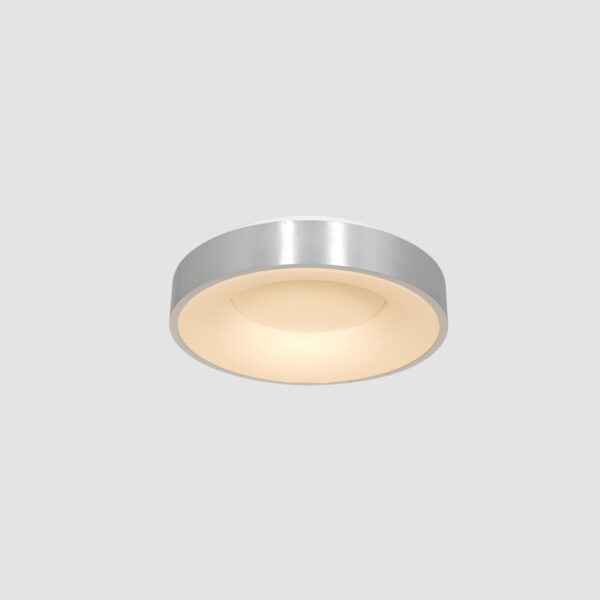 Steinhauer Ringlede plafondlamp - rond - ingebouwd LED - Ø 30 cm - 2700K - zilver - Image 14
