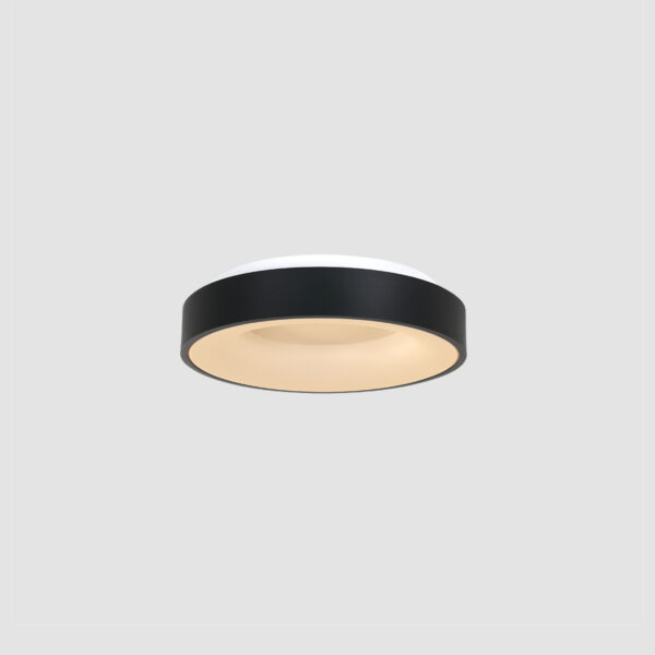 Steinhauer Ringlede plafondlamp - rond - ingebouwd LED - Ø 30 cm - 2700K - zwart - Image 15