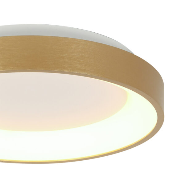 Steinhauer Ringlede plafonnieres –– goud en wit - Image 2