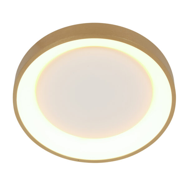Steinhauer Ringlede plafonnieres –– goud en wit - Image 7