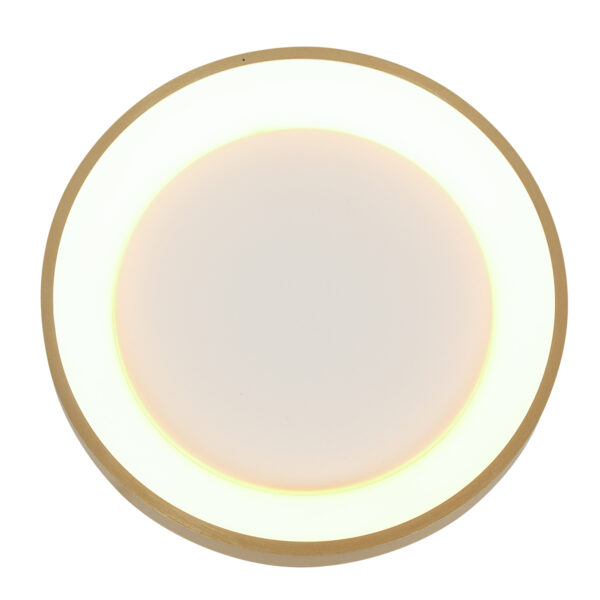 Steinhauer Ringlede plafonnieres –– goud en wit - Image 9