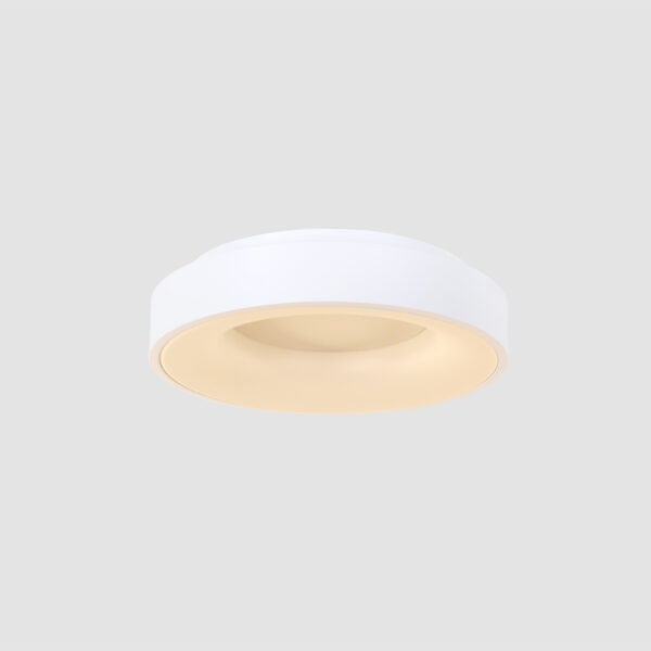 Steinhauer Ceiling and Wall plafondlamp - rond | ingebouwd LED - Ø 38 cm - 2800K - wit - Image 13