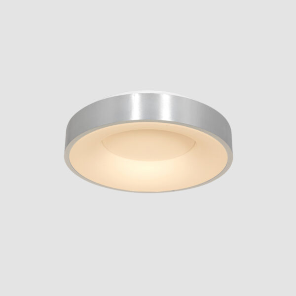 Steinhauer Ringlede plafondlamp - ingebouwd LED - Ø38 cm - Metaal en kunststof - zilver - Image 14