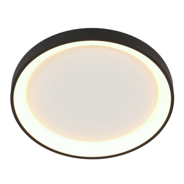 Steinhauer Ringlede plafonnieres –– wit en zwart - Image 9