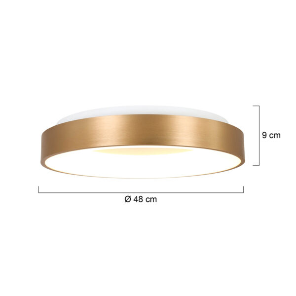 Steinhauer Ringlede plafondlamp - ring - ingebouwd LED - Ø 48 cm - goud - Image 6