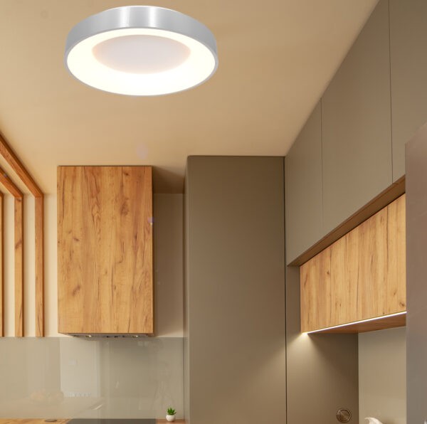 Steinhauer Ringlede plafondlamp - ingebouwd LED - Ø48 cm - Metaal en kunststof - zilver - Image 2
