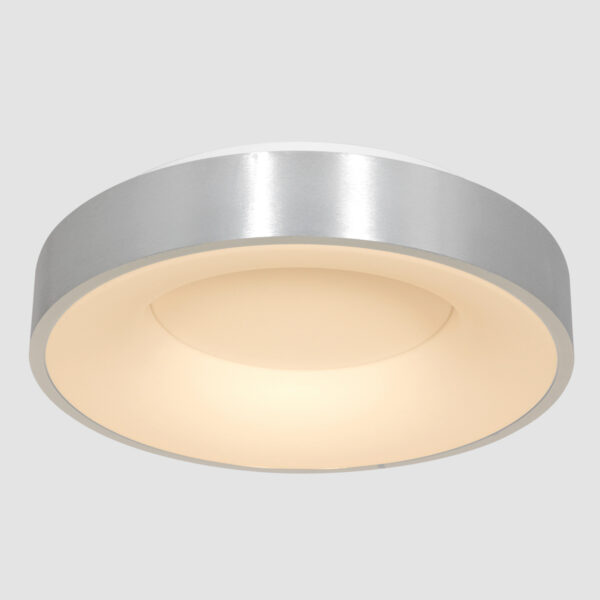 Steinhauer Ringlede plafondlamp - ingebouwd LED - Ø48 cm - Metaal en kunststof - zilver - Image 11