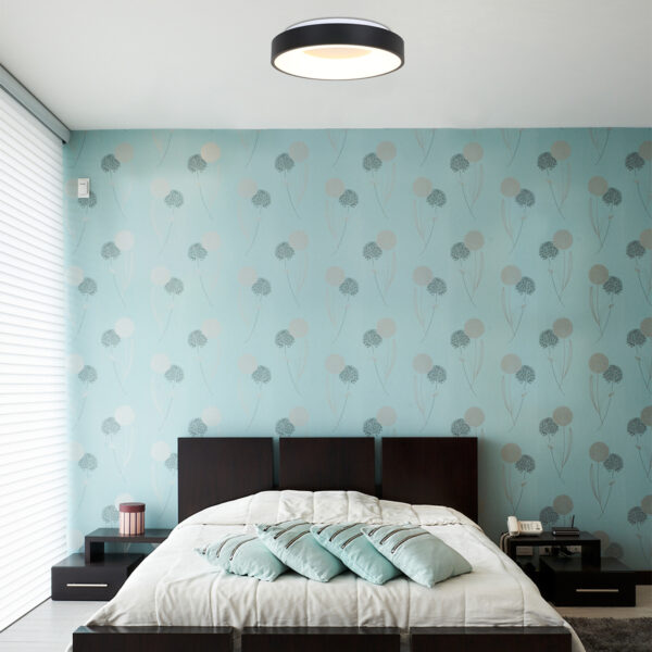 Steinhauer Ceiling and Wall moderne plafondlamp groot - Ø 48 cm - ingebouwd LED - 2800K - zwart - Image 2