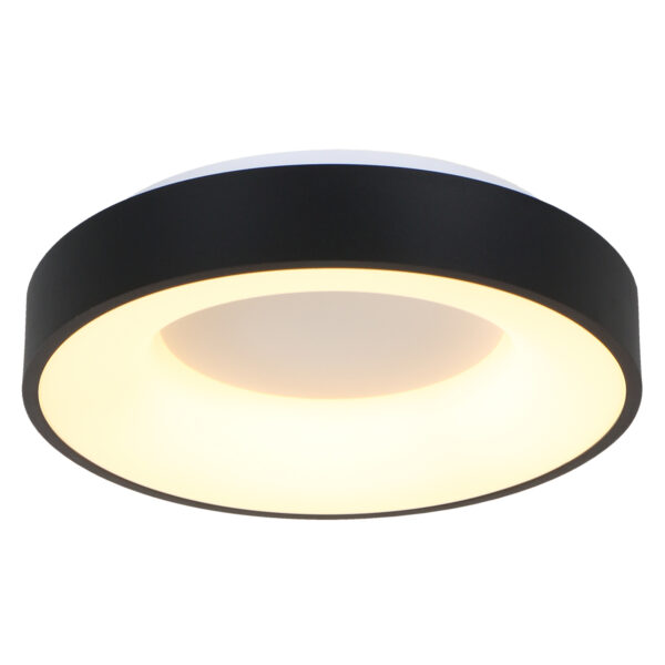 Steinhauer Ceiling and Wall moderne plafondlamp groot - Ø 48 cm - ingebouwd LED - 2800K - zwart - Image 13