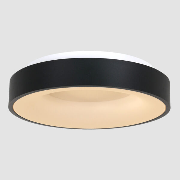 Steinhauer Ceiling and Wall moderne plafondlamp groot - Ø 48 cm - ingebouwd LED - 2800K - zwart - Image 16